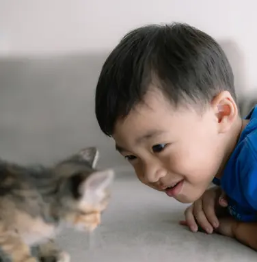 Kid playing with pet cat